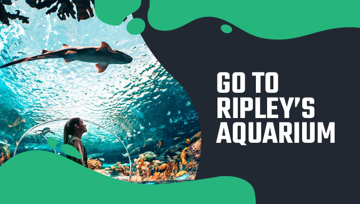go-to-ripley’s-aquarium